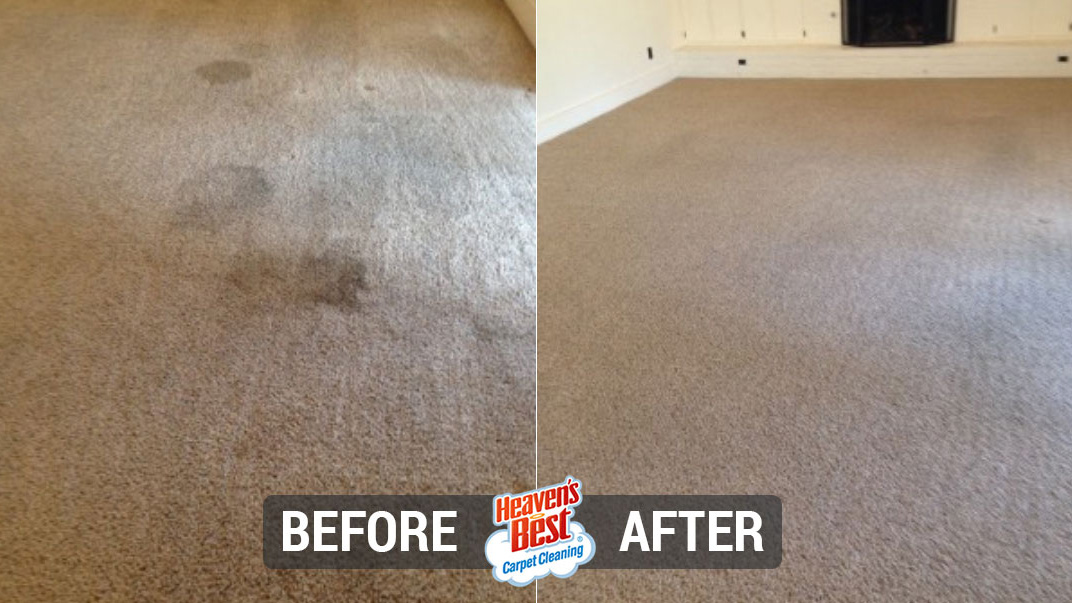 Heaven's Best Carpet Cleaning of Fredericksburg VA