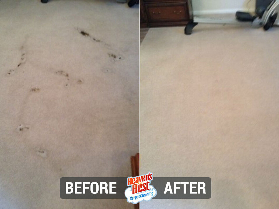 Heaven's Best Carpet Cleaning of Fredericksburg VA