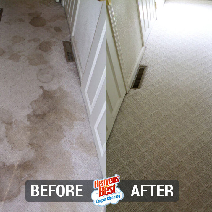 Heaven's Best Carpet Cleaning of Fredericksburg VA